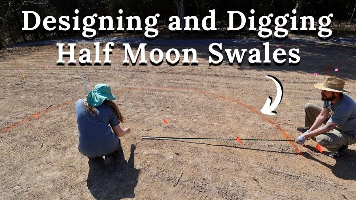 Digging Swales and Tree Layout : Food Forest Part 2