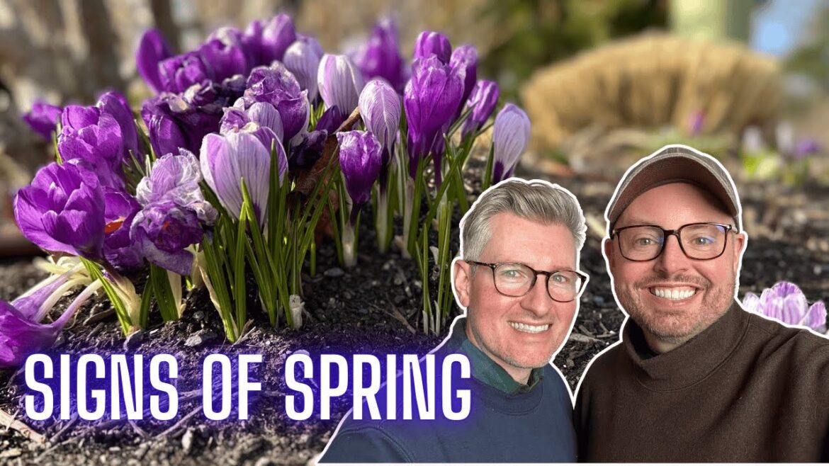 Early Spring Garden Check-In 🌸 First Blooms, Fresh Growth & Big Ideas