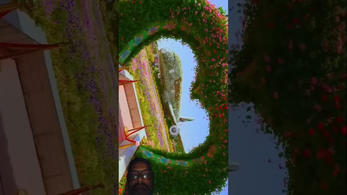 Gardan#gardan trends #gardan inspiration #garden #gardening tips #garden ideas #gardan planning