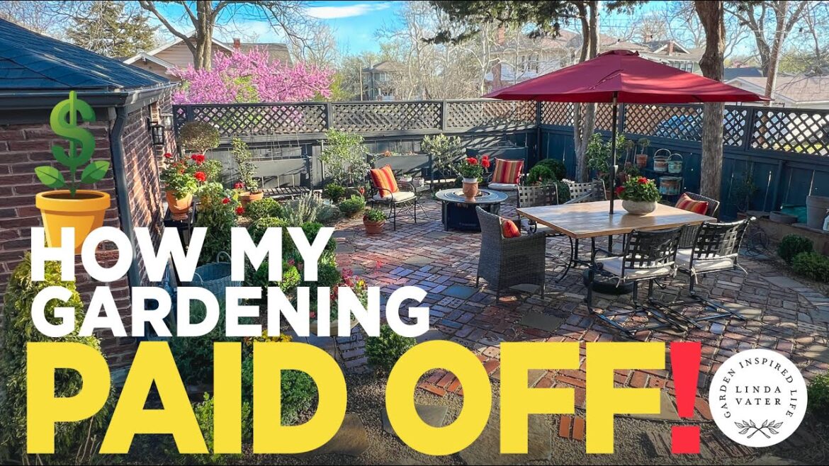 See How My Gardening Yesterday Paid Off