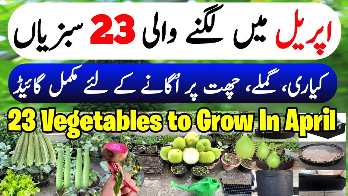 April & May Me Lagne Wali Sabzian • April Ke Month Main Kon C Vegetables Lagein | Vegetables In May