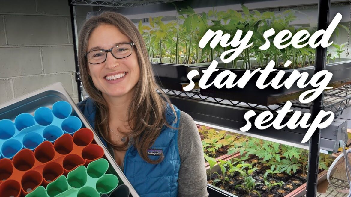 My Indoor Seed Starting Setup – 7 Supplies Beginners Need (+10 You Don’t!)