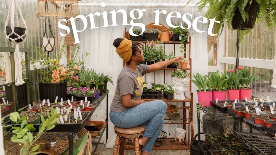 Greenhouse Clean-up & Plant Haul | Getting Ready For Spring