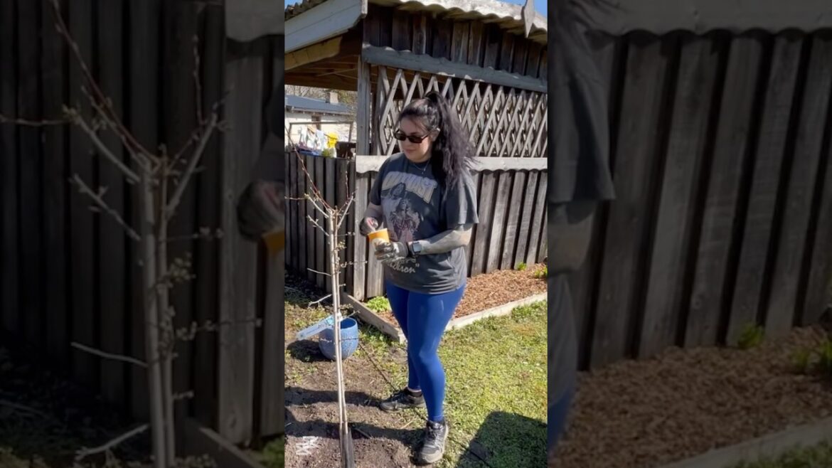 PAINTING Fruit trees?! #garden #gardening #gardeningtips #outdoors #tips #home #homemade #plants