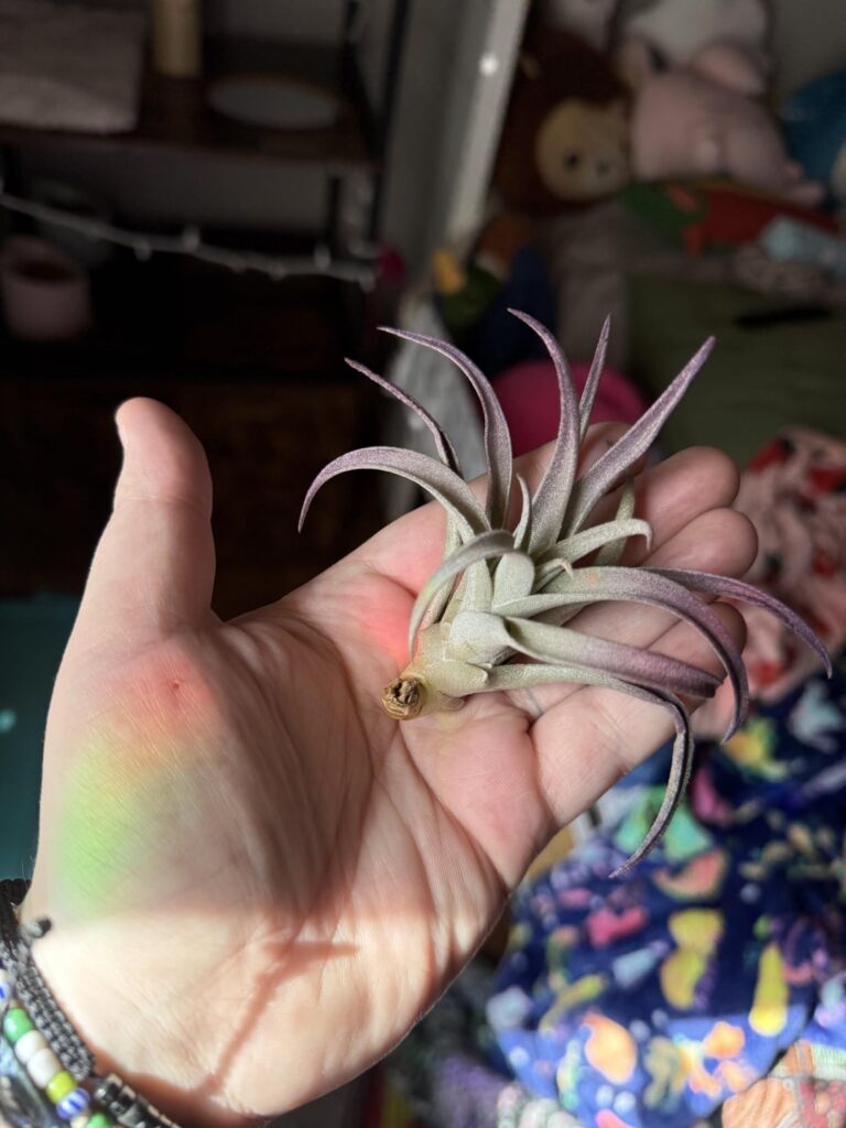 check up needed for this girlie! check up needed for this girlie!