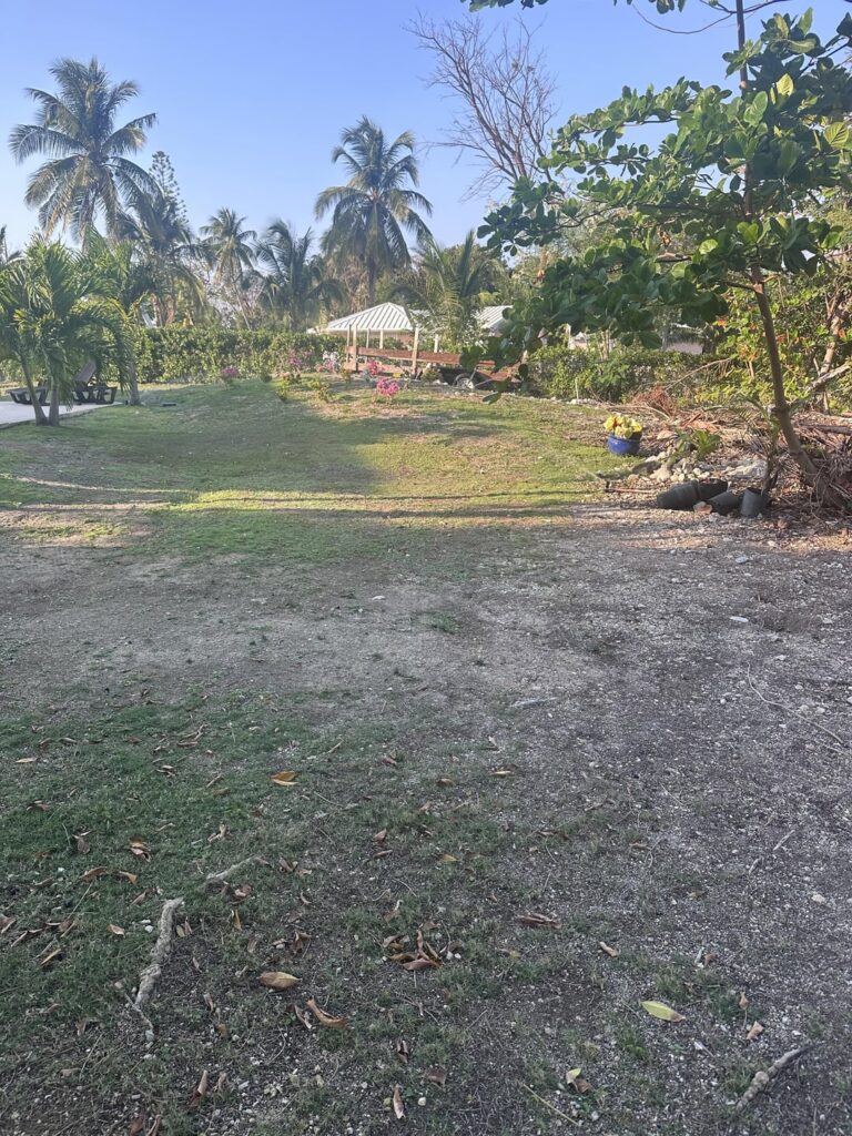 What’s the best plan of action here What’s the best plan of action here