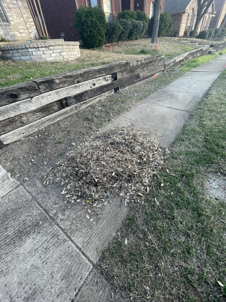 What’s your own care arsenal for cleanups. What’s your own care arsenal for cleanups.