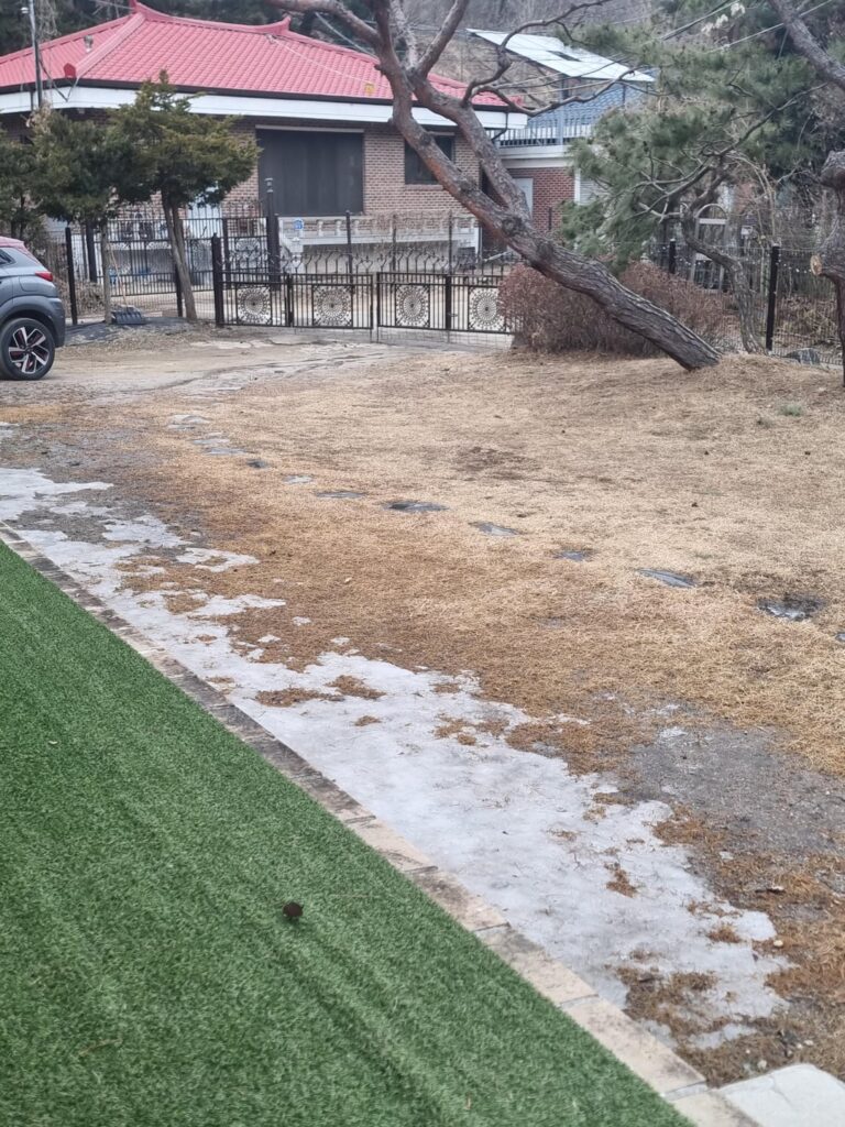 Can I just sprinkle grass seeds in muddy areas? Can I just sprinkle grass seeds in muddy areas?
