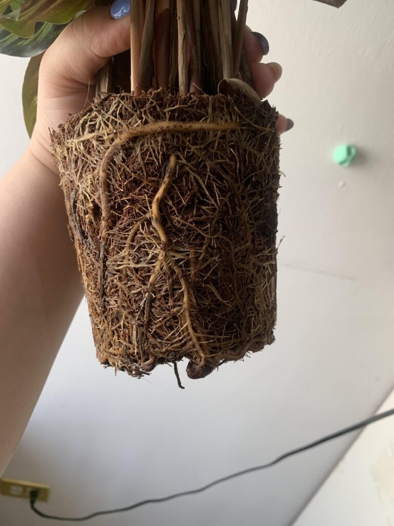 Help!