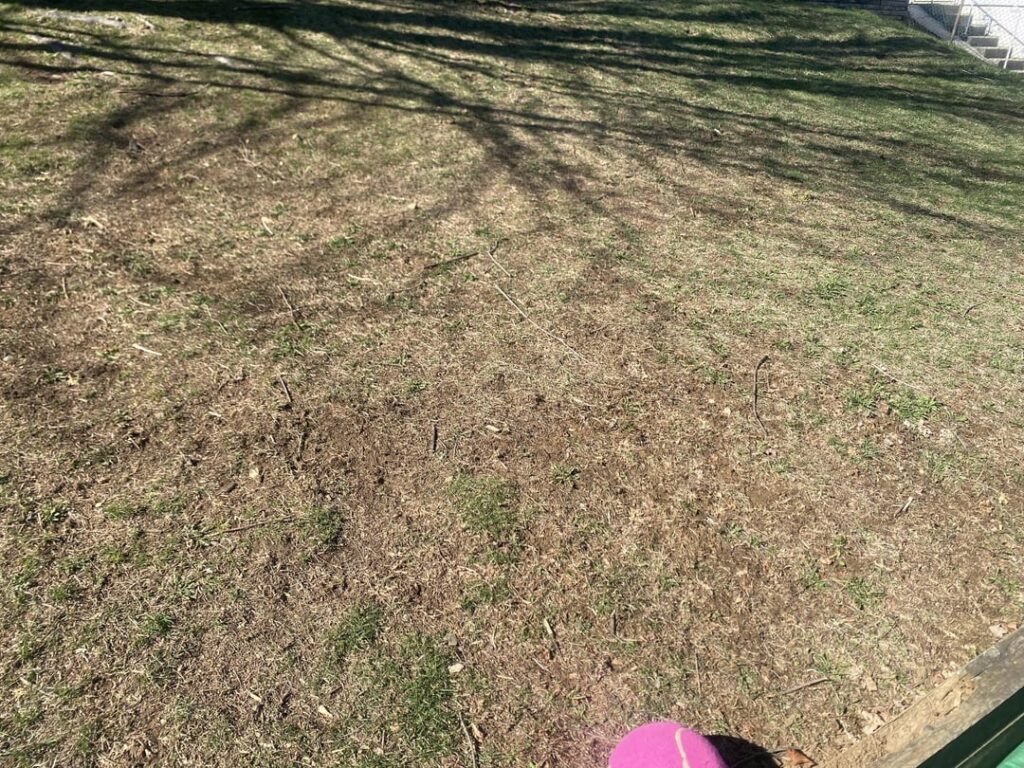 Sloped lawn help, with dog and kiddos Sloped lawn help, with dog and kiddos