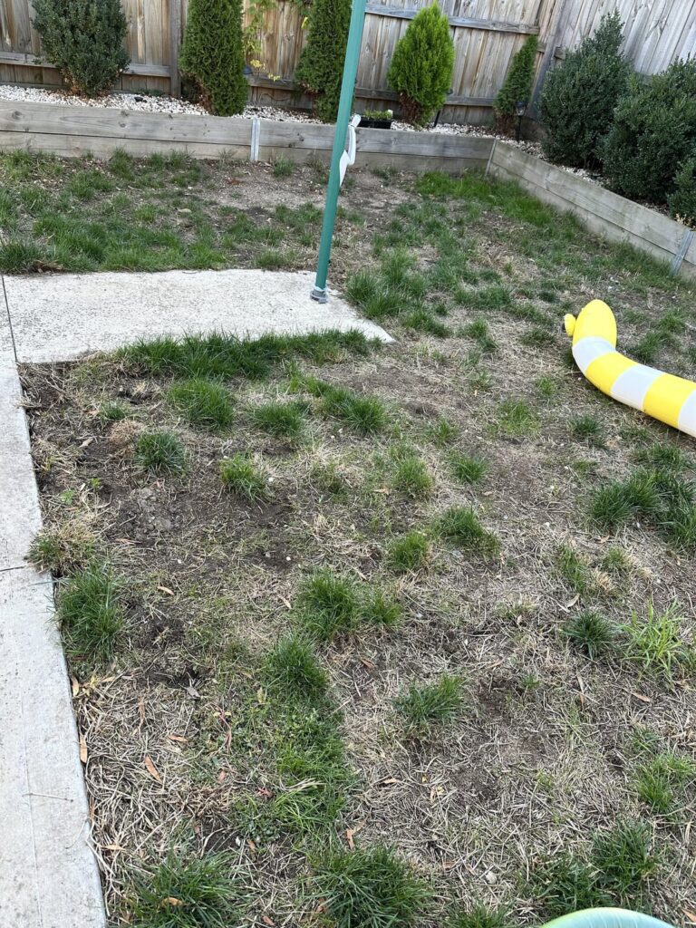 Lawn at my new place. Help! Lawn at my new place. Help!