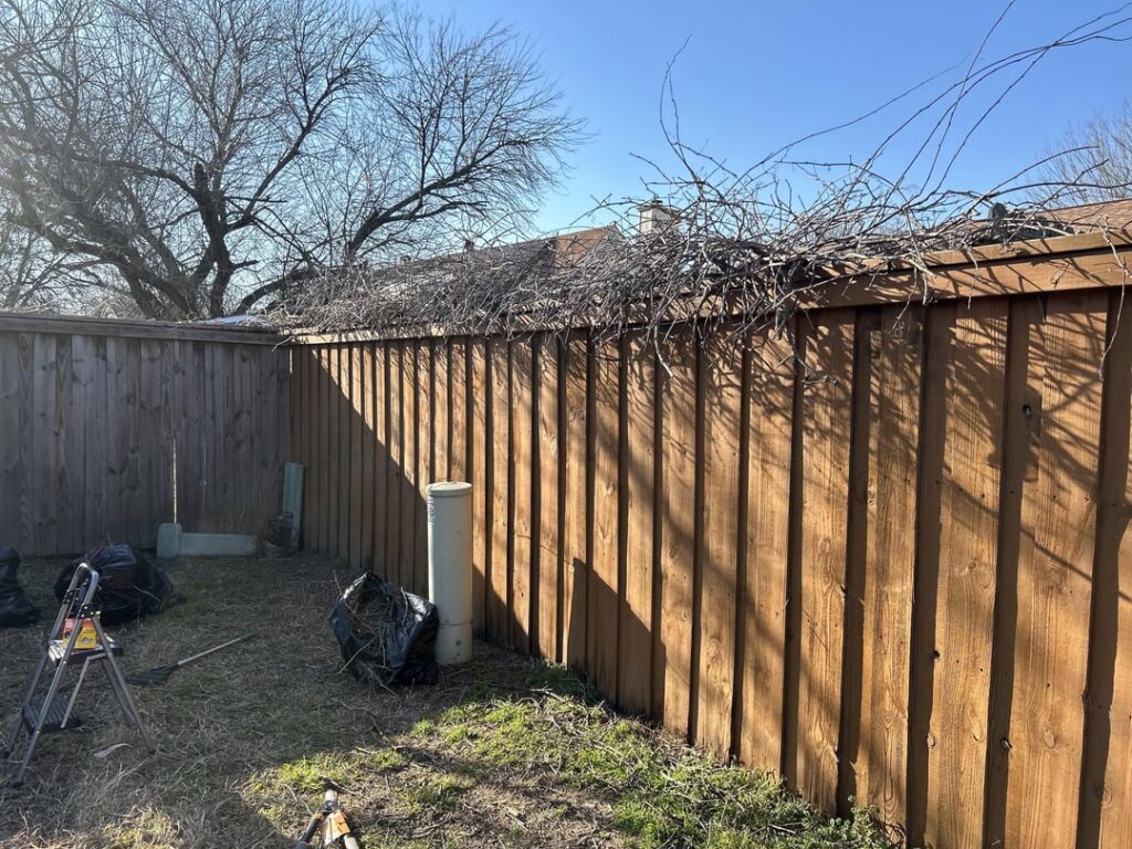 With the help of my neighbor, her son, & my son, we were able to take out this bush between the fences & added herbicide so I wouldn’t grow back! This felt like an accomplishing weekend. With the help of my neighbor, her son, & my son, we were able to take out this bush between the fences & added herbicide so I wouldn’t grow back! This felt like an accomplishing weekend.