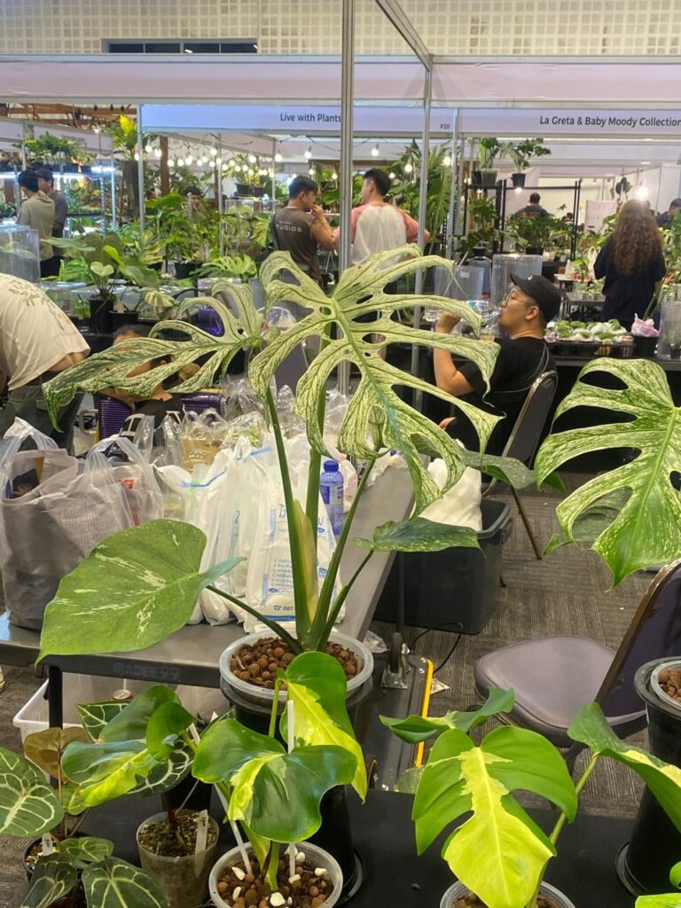 🌱