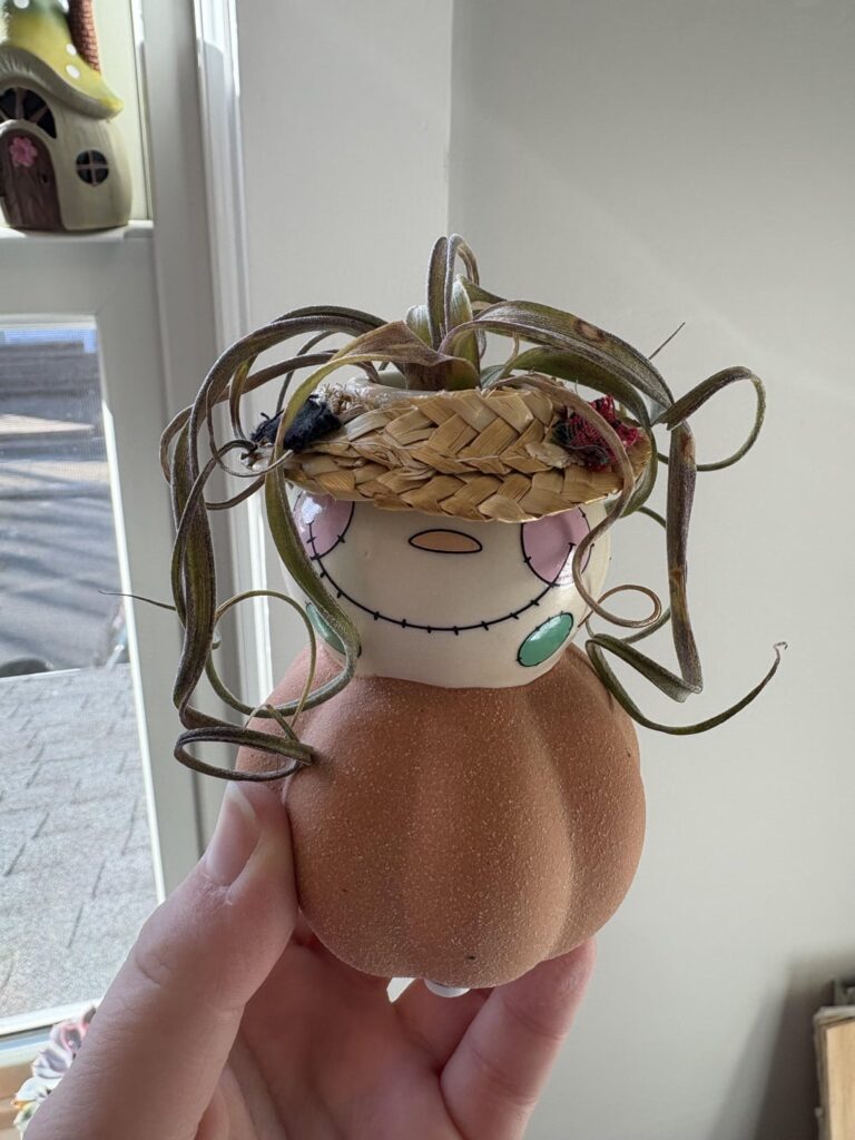 any hope for my Medusa’s head? any hope for my Medusa’s head?