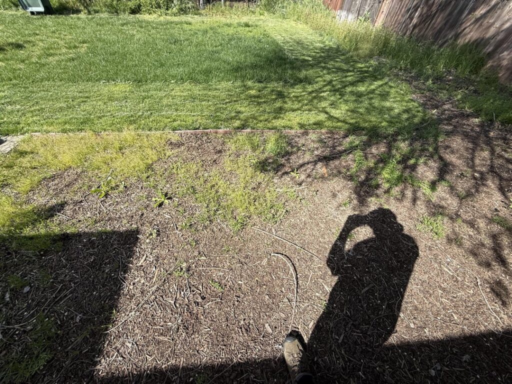 Wondering what to do to prevent weeds in the future Wondering what to do to prevent weeds in the future