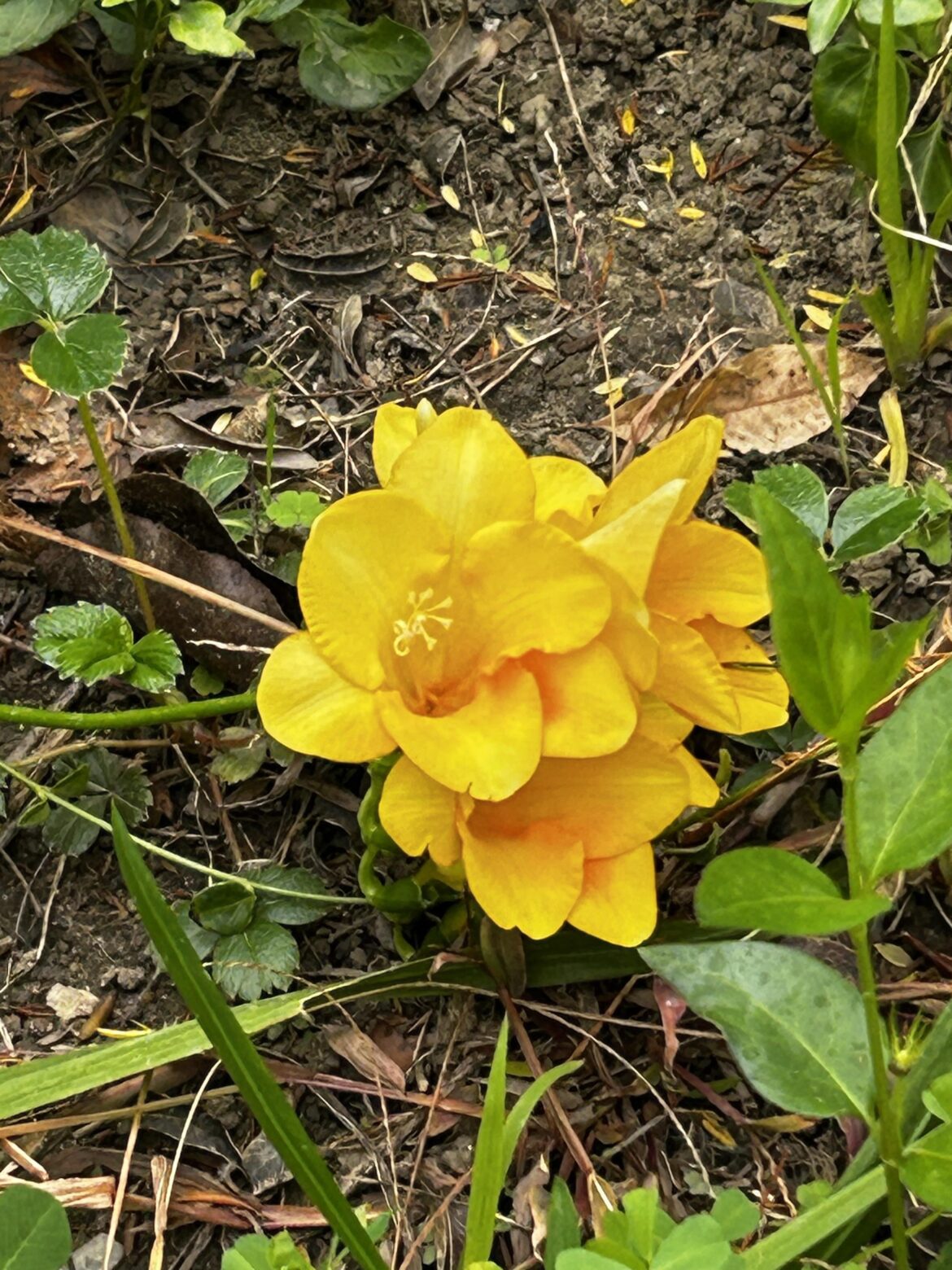 Found this in Los Angeles