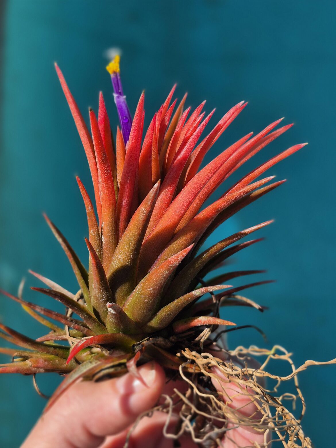 Nice unexpected surprise today