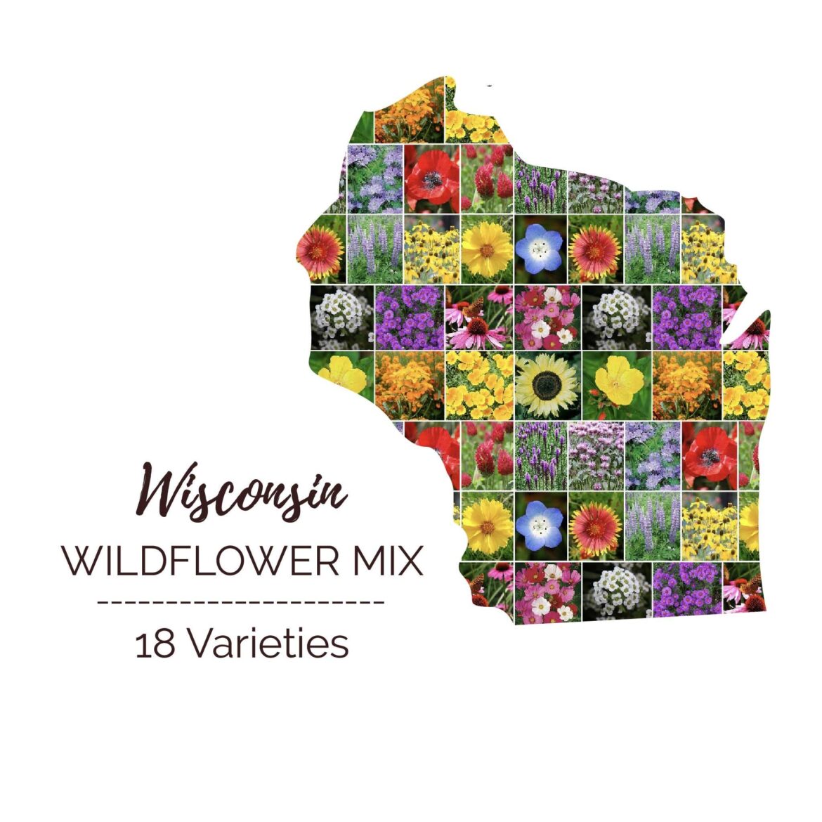 Wildflower Mix advice please! Wildflower Mix advice please!