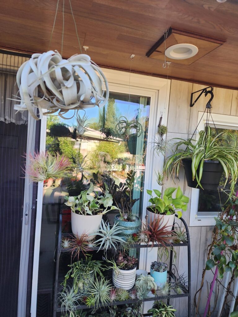 Most of my collection