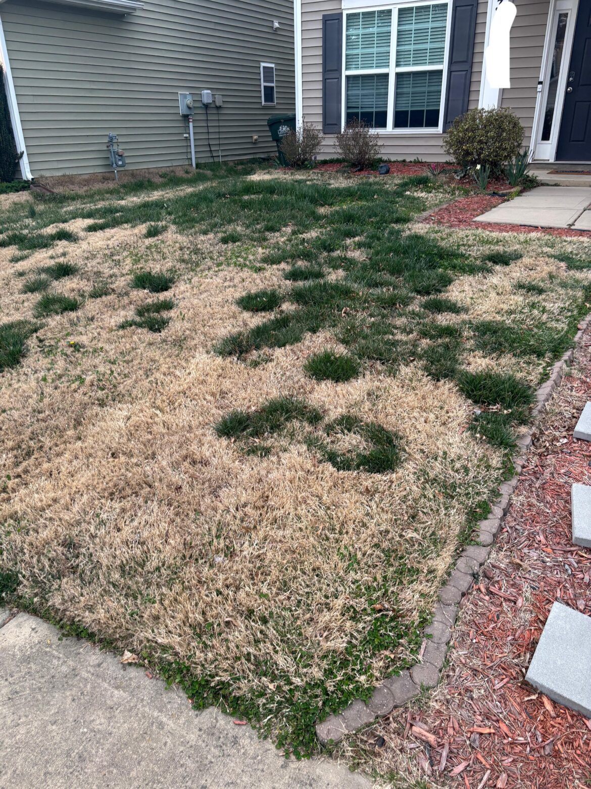 Lawn patches! How do I fix this?
