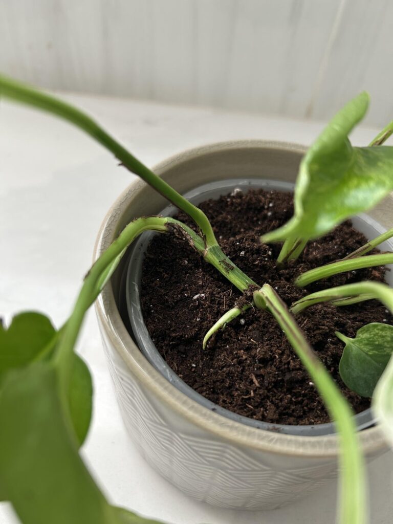Is this normal?