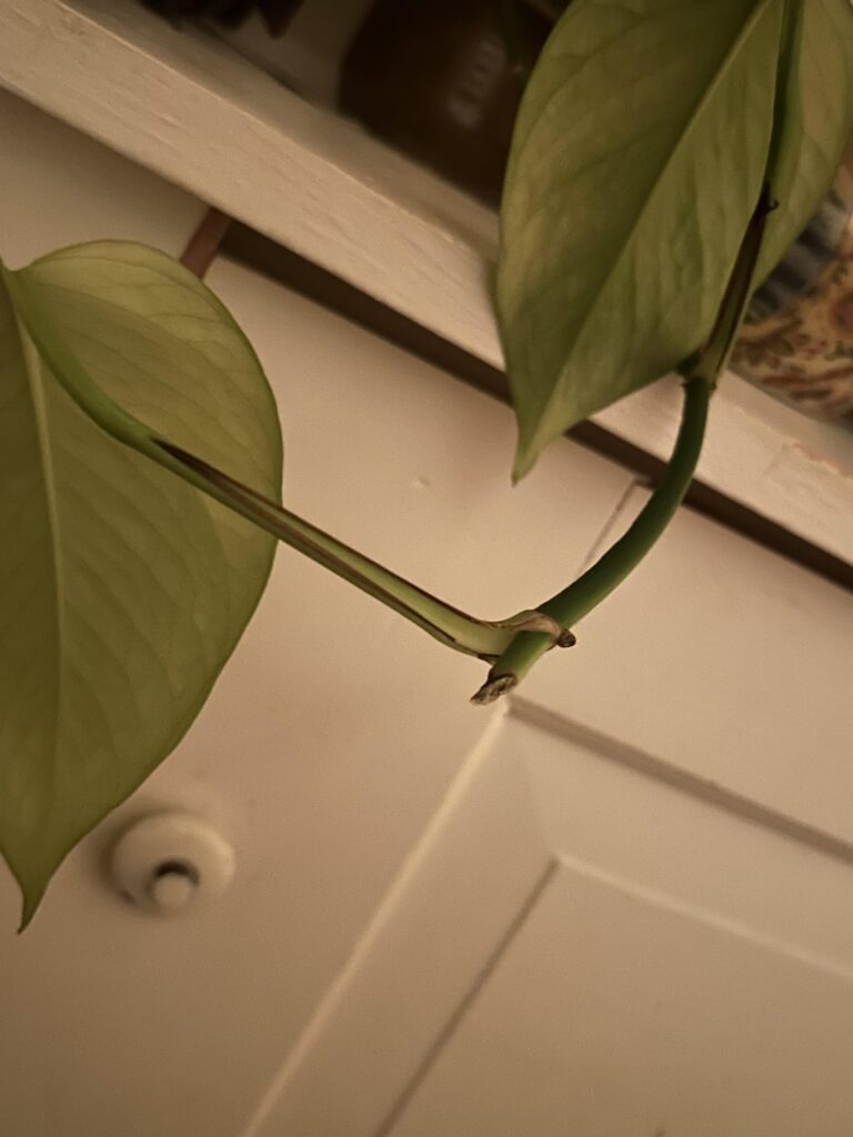 Fixing this dead end Fixing this dead end