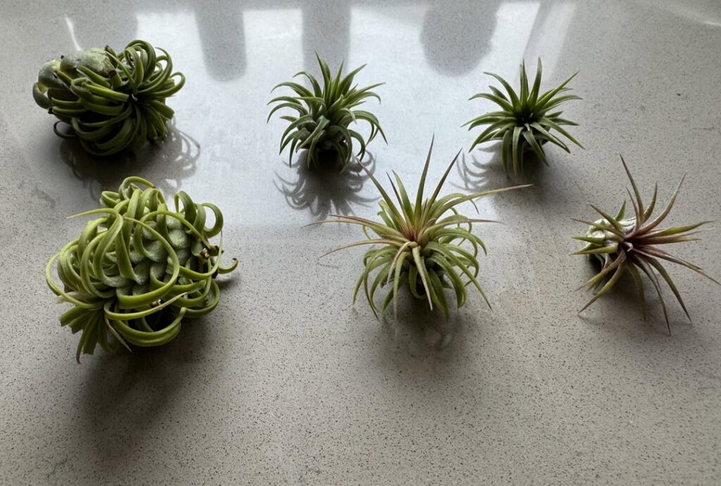 2 to 6 in two years 2 to 6 in two years