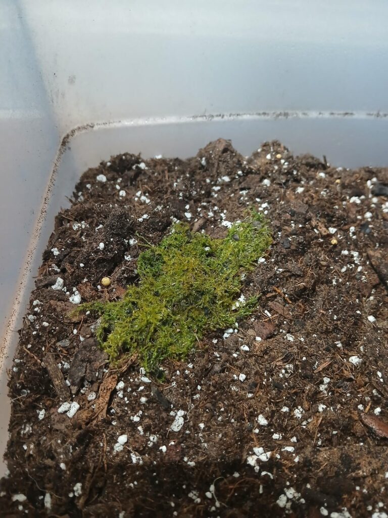 Beginner seeking advice