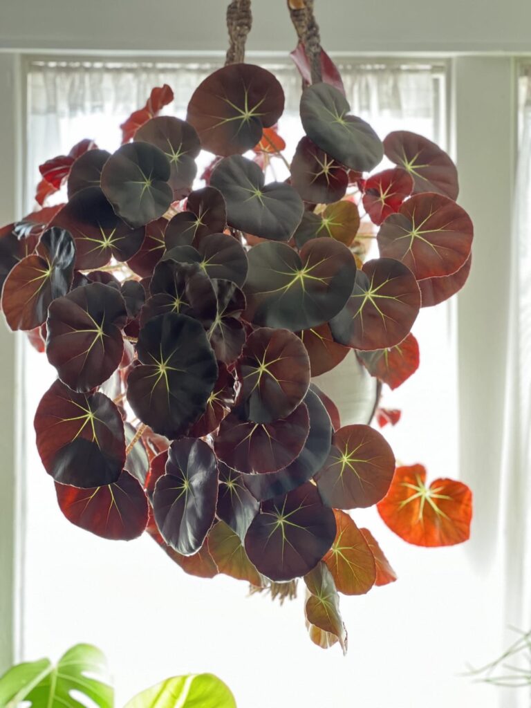 Started from a single leaf prop. Started from a single leaf prop.