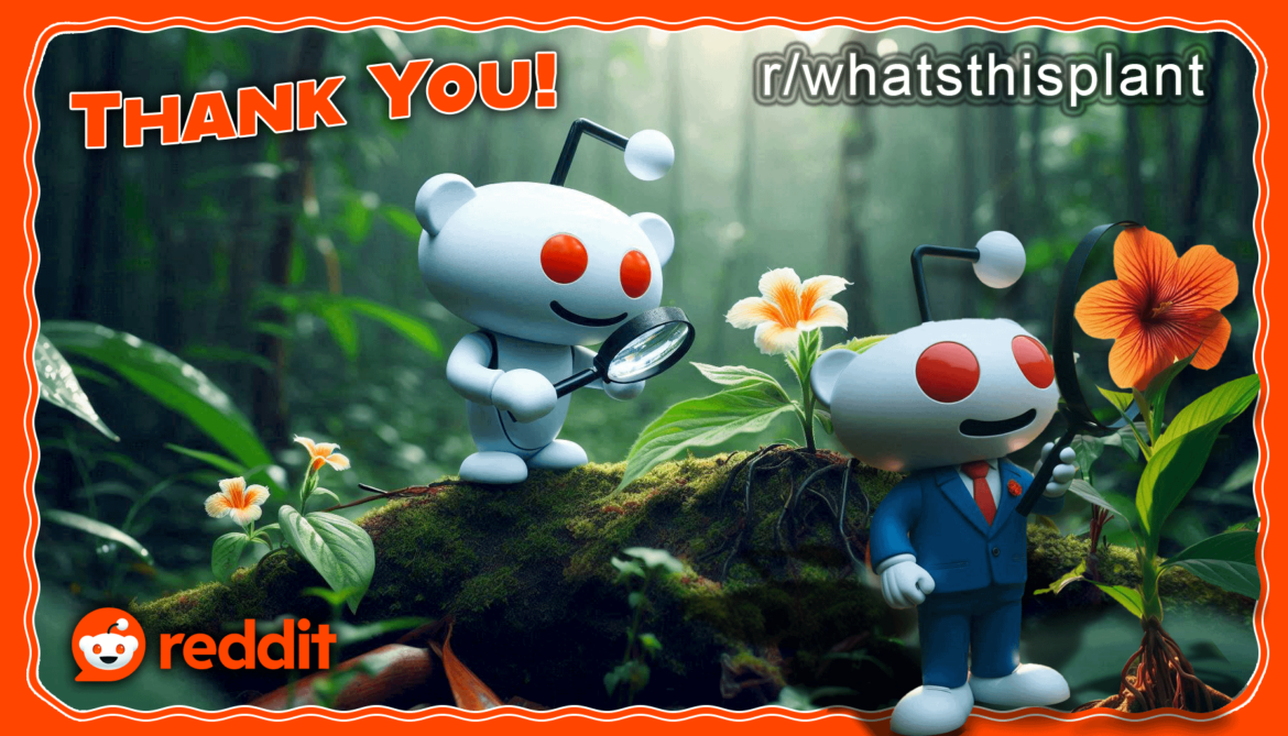 This is a thank you to the community. We're seeking MODs btw; see pinned announcement.