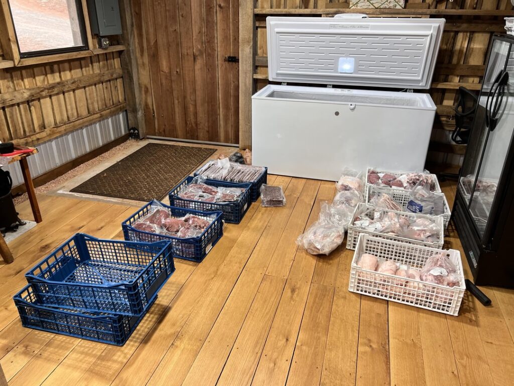 Cheap freezer organization