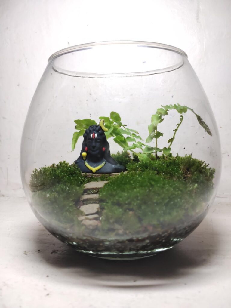 Moss Terrarium