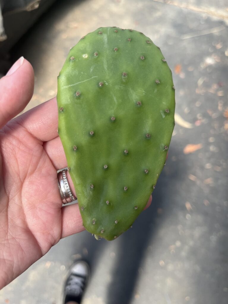 How do I prop this?