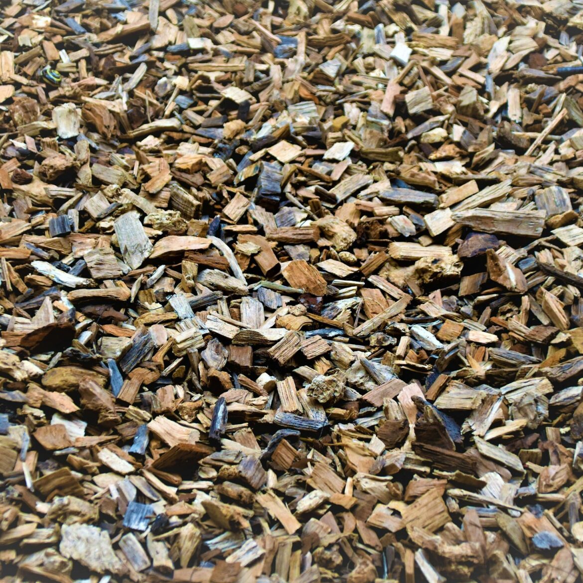 Options for groundcover that ISN'T pinestraw in the Southeast?