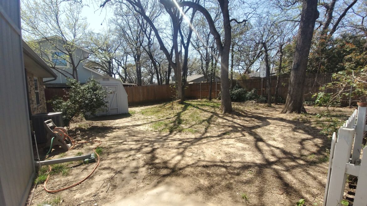New homeowners, how would I go about restoring my backyard so it isn’t so dusty? North Texas New homeowners, how would I go about restoring my backyard so it isn't so dusty? North Texas