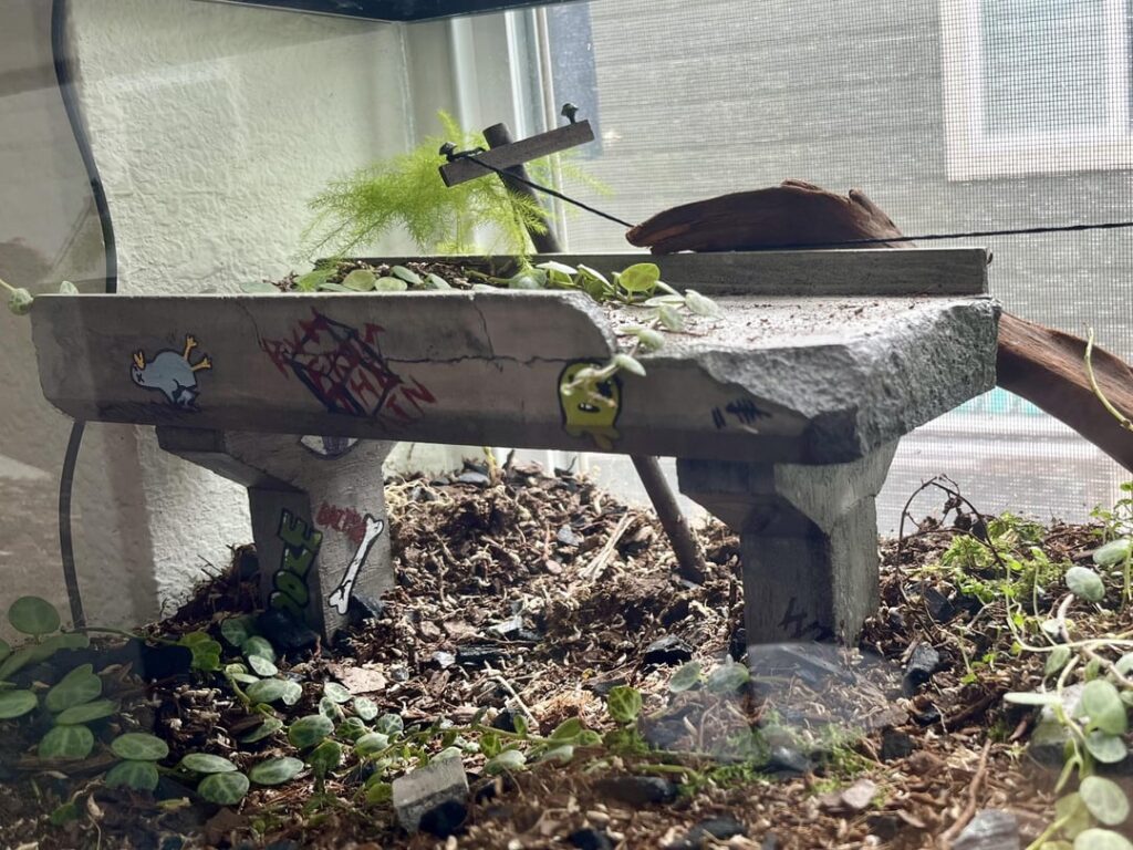 My post apocalyptic bubble bee toad tank inspired by ruins in adventure time