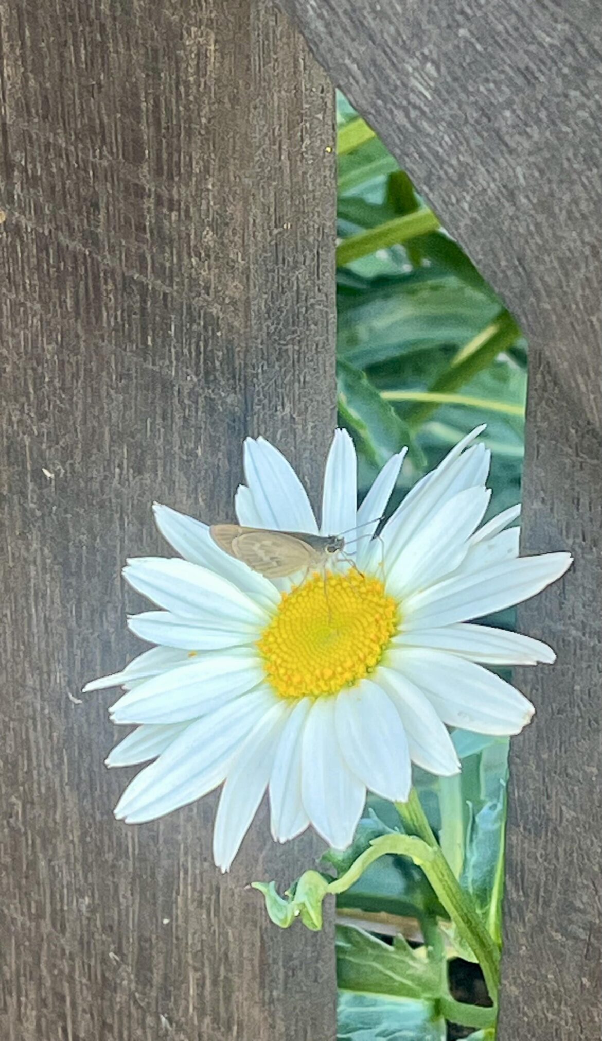 Nature is perfect💕