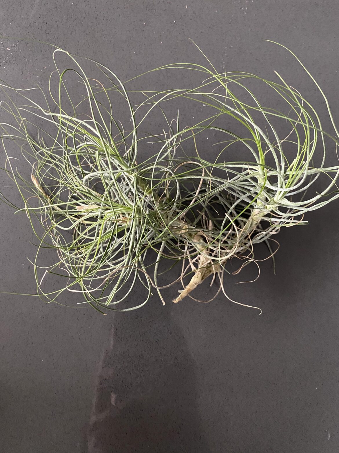 Type? Repost with picture 🤦‍♂️