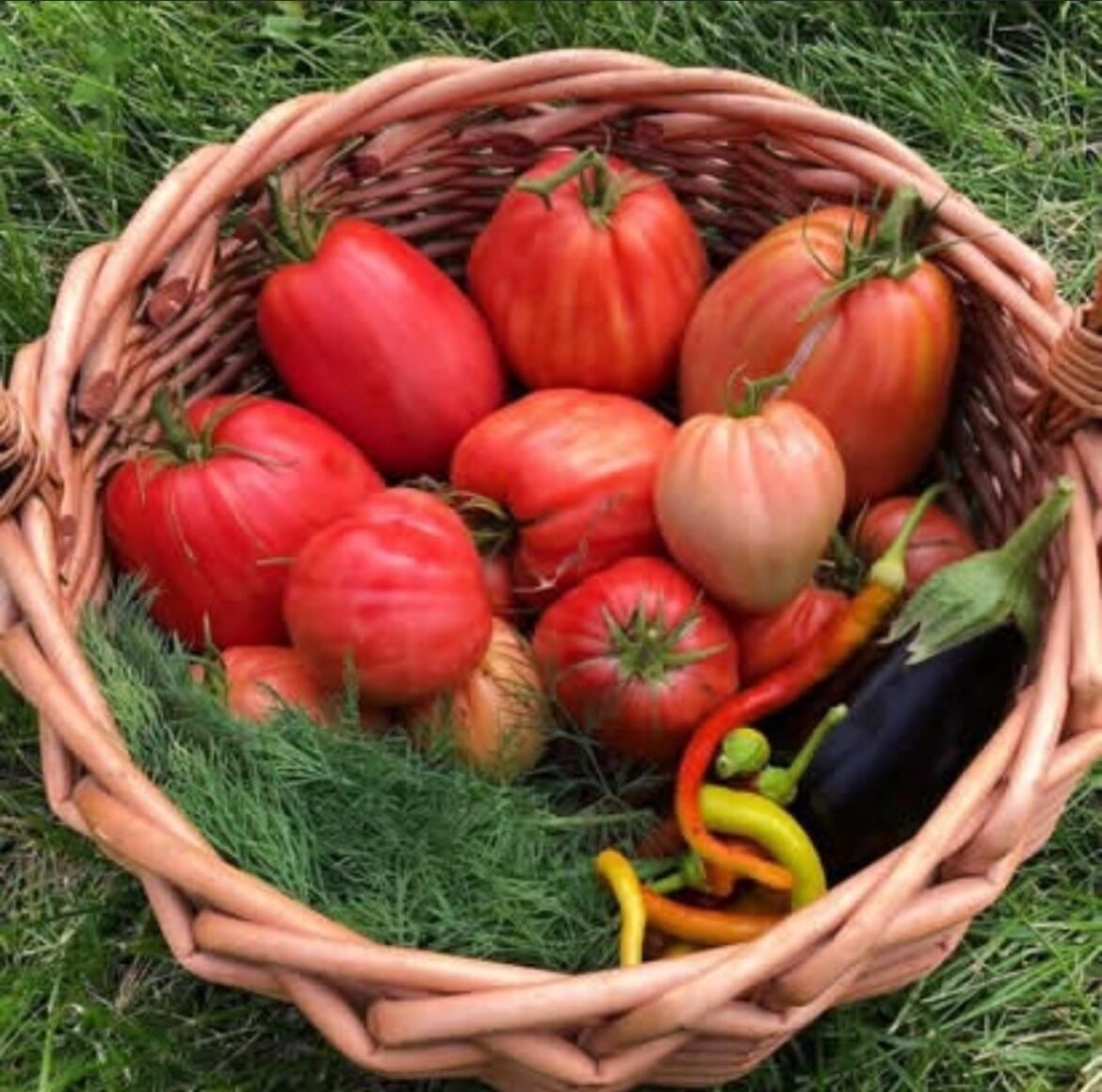 Do you own and/or use a scythe? Do you own and/or use a scythe?