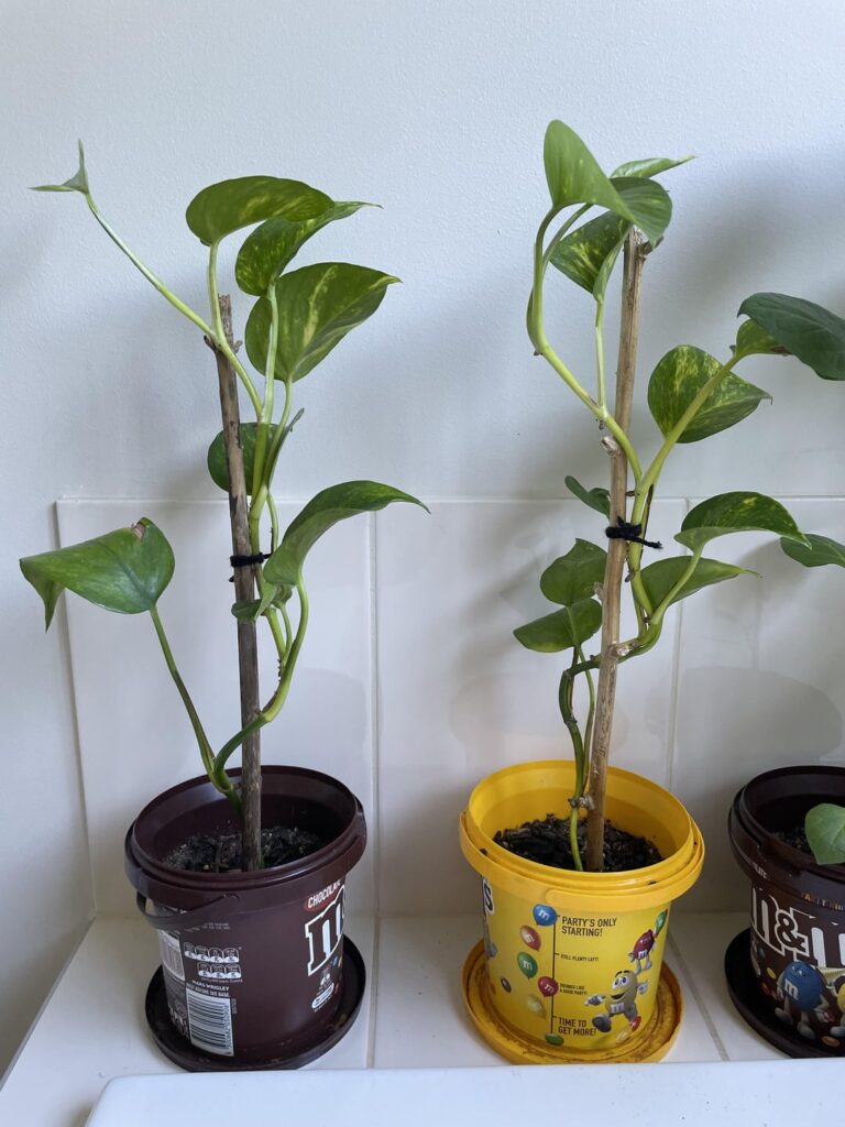 They’re small but they’re my babies They’re small but they’re my babies