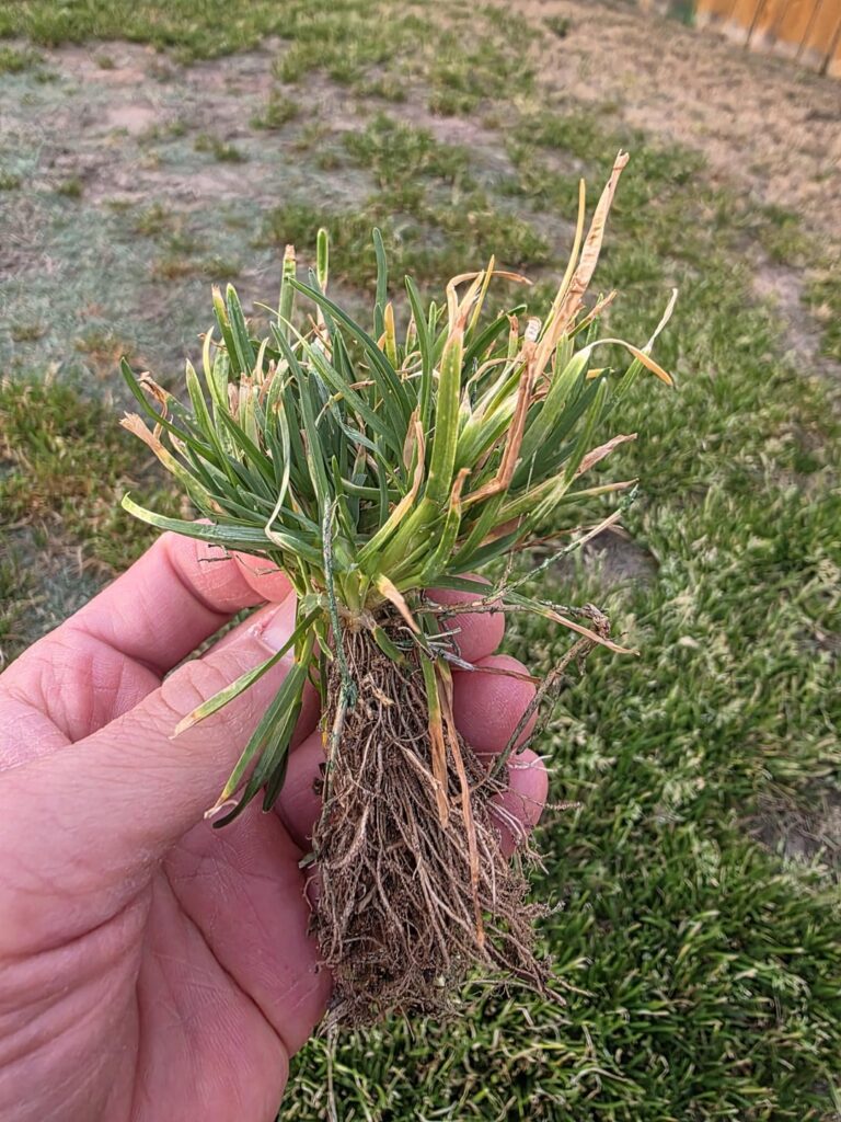 What is this? Austin, TX