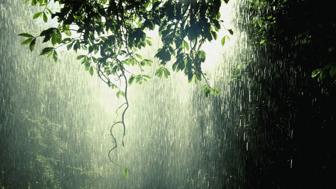 How can I get clouds and rain in my terrarium?