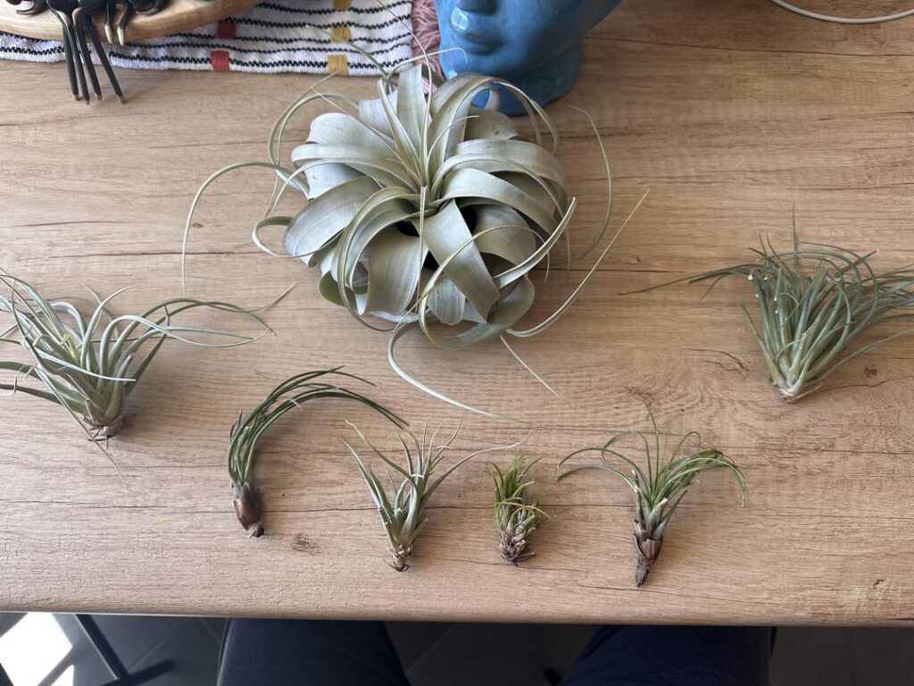 What do I have and why can’t they be happy? What do I have and why can’t they be happy?