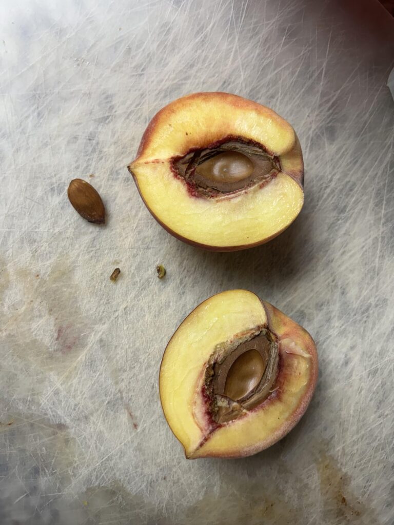 Cut open a peach and there was an almond inside?