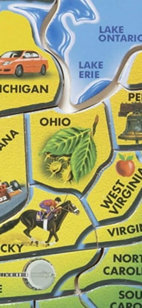 What is this? And are the yellow things bugs or something else? Illustration from a us states wooden puzzle  by melissa & doug