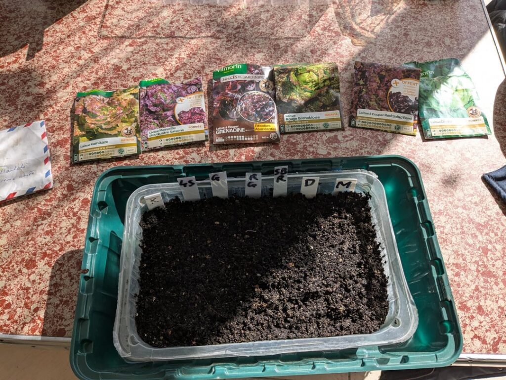Starting Seeds Starting Seeds