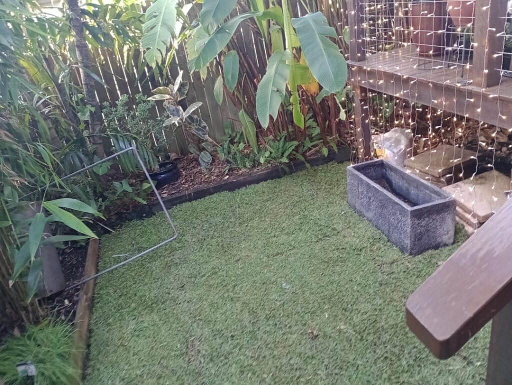 Grass failed. Should I try again or do something else?