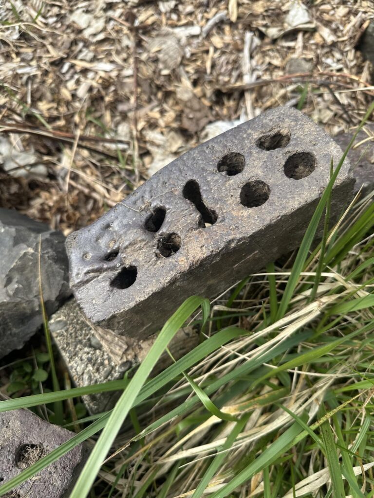 Found some old bricks