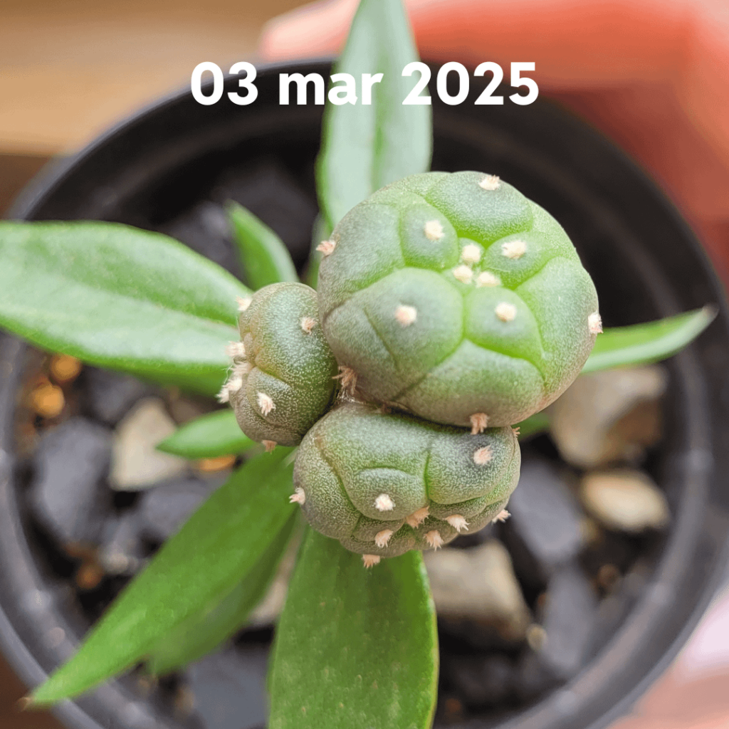 Nearly 3 month progress