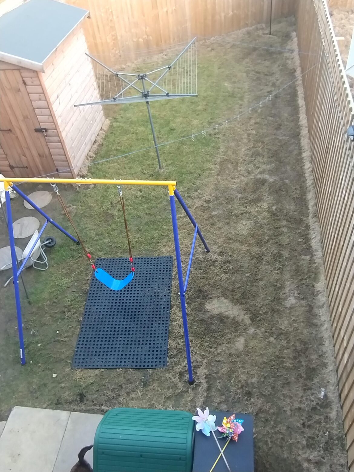 Why is my grass dying and spreading the death Why is my grass dying and spreading the death